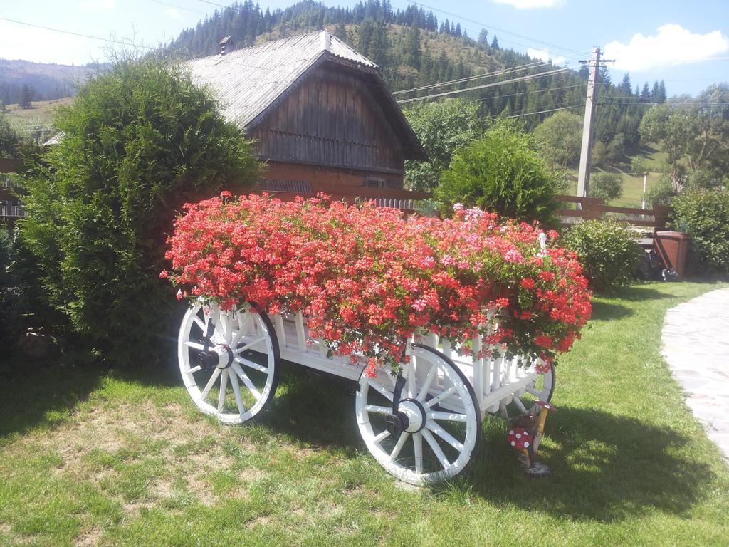 Casa Carmen Hotel Dorna-Arini Buitenkant foto